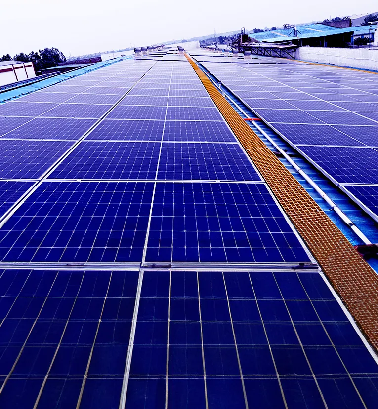 Rooftop solar panels installed at Ind-Swift’s manufacturing plant generating renewable energy for sustainable operations.